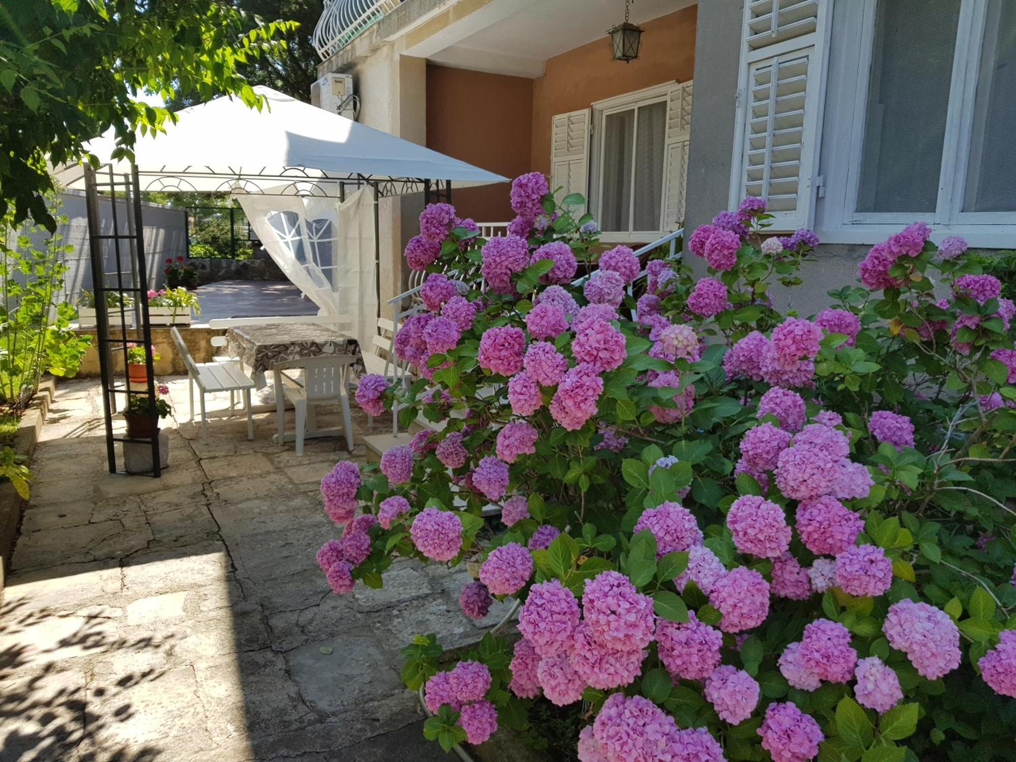 Renata Mare Apartments Rovinj Zewnętrze zdjęcie